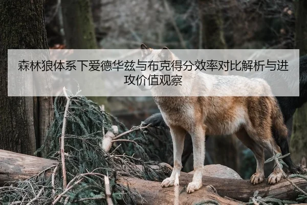 森林狼体系下爱德华兹与布克得分效率对比解析与进攻价值观察