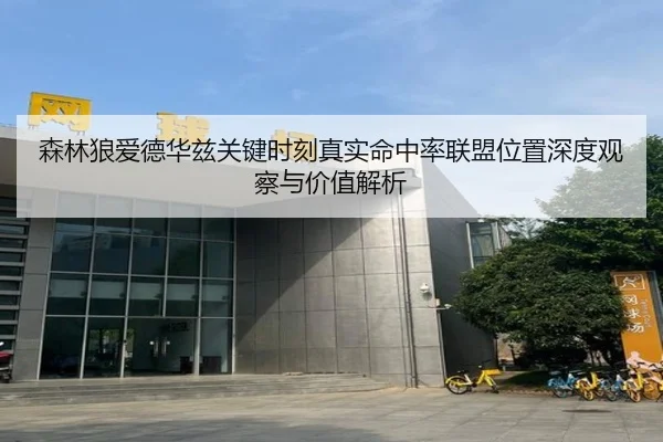 森林狼爱德华兹关键时刻真实命中率联盟位置深度观察与价值解析